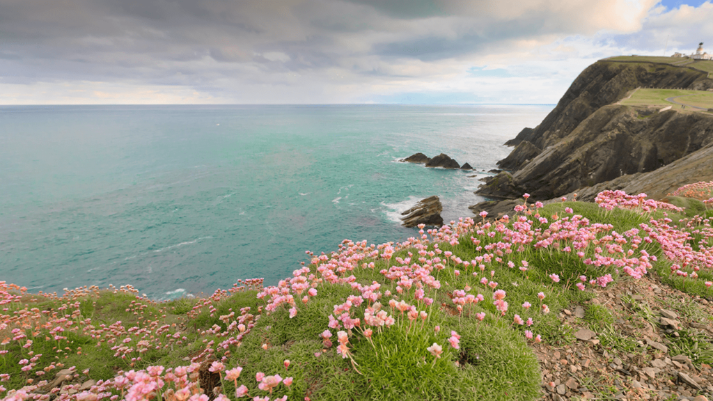 Shetland Islands - coastal view