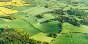 Aerial photography of green fields in English countryside