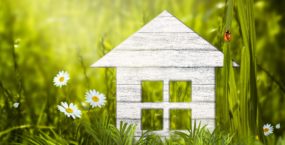 Image of small house in field of daisys - selling house in the speing