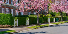 selling-your-home-in-spring-cherry-blossom-residential-street